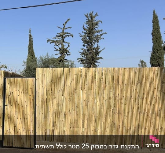 גדר במבוק עם שער ליד עצים ברקע